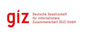 GIZ logo